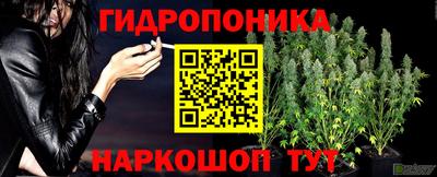 дживик Нальчик