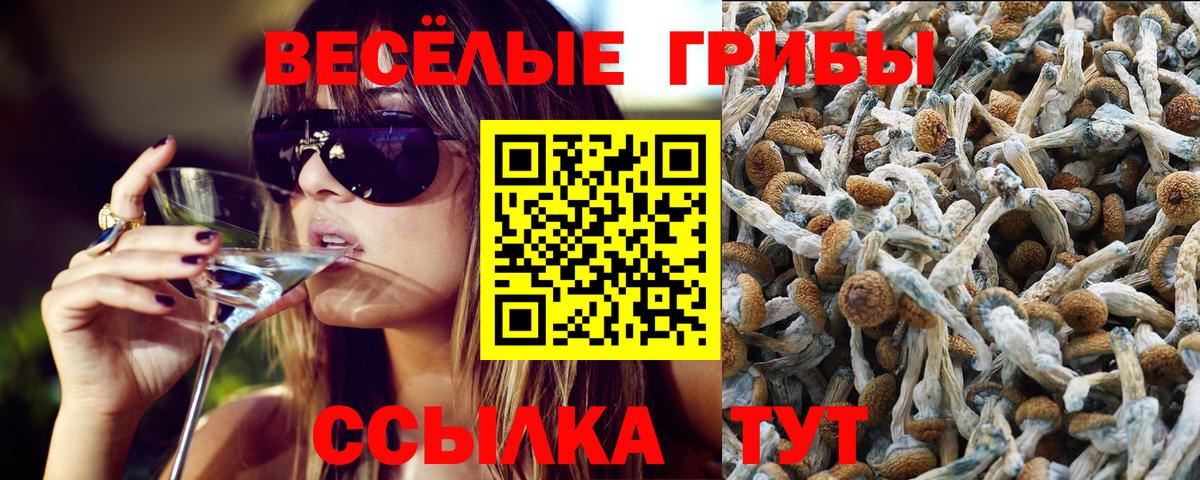 Отрадное  Псилоцибиновые грибы ЛСД  Вход с VPN 
