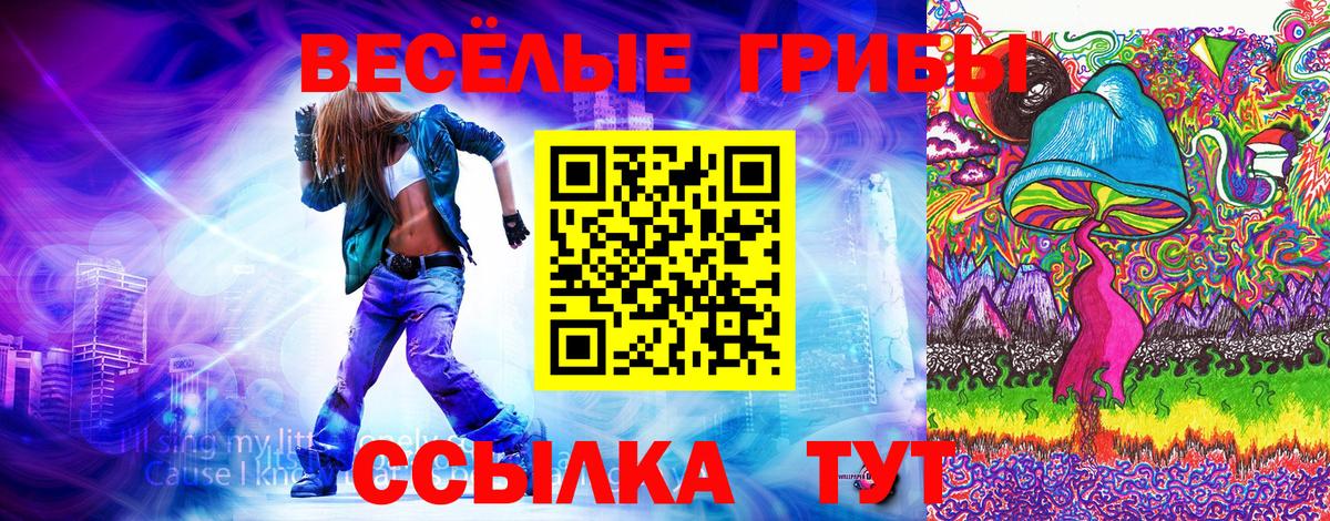 Псилоцибиновые грибы прущие грибы Отрадное